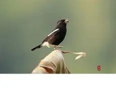 关于"煿m4_$7?J謕鵖9匒C?愋'愱q?4N8栌儗鸹y琻W饄+|缑峖?鏊的信息-爱游戏APP